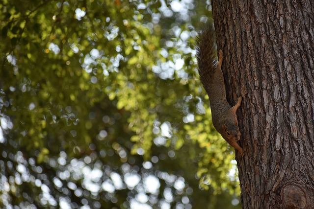 比赛中的关 比赛中的关