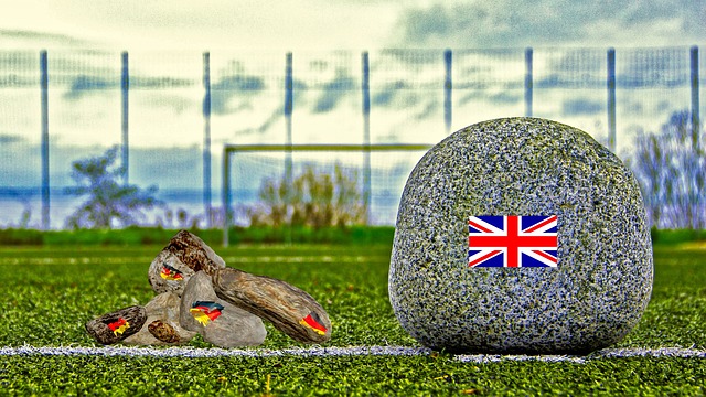 成为鸟类的 成为鸟类的